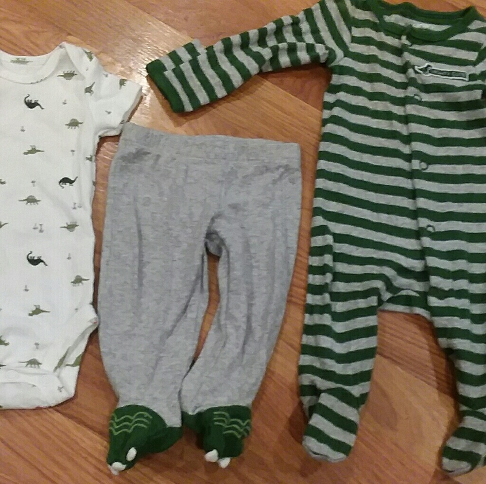 Dinosaur bundle